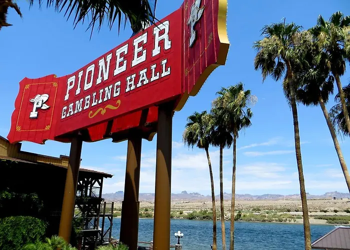 The New Pioneer