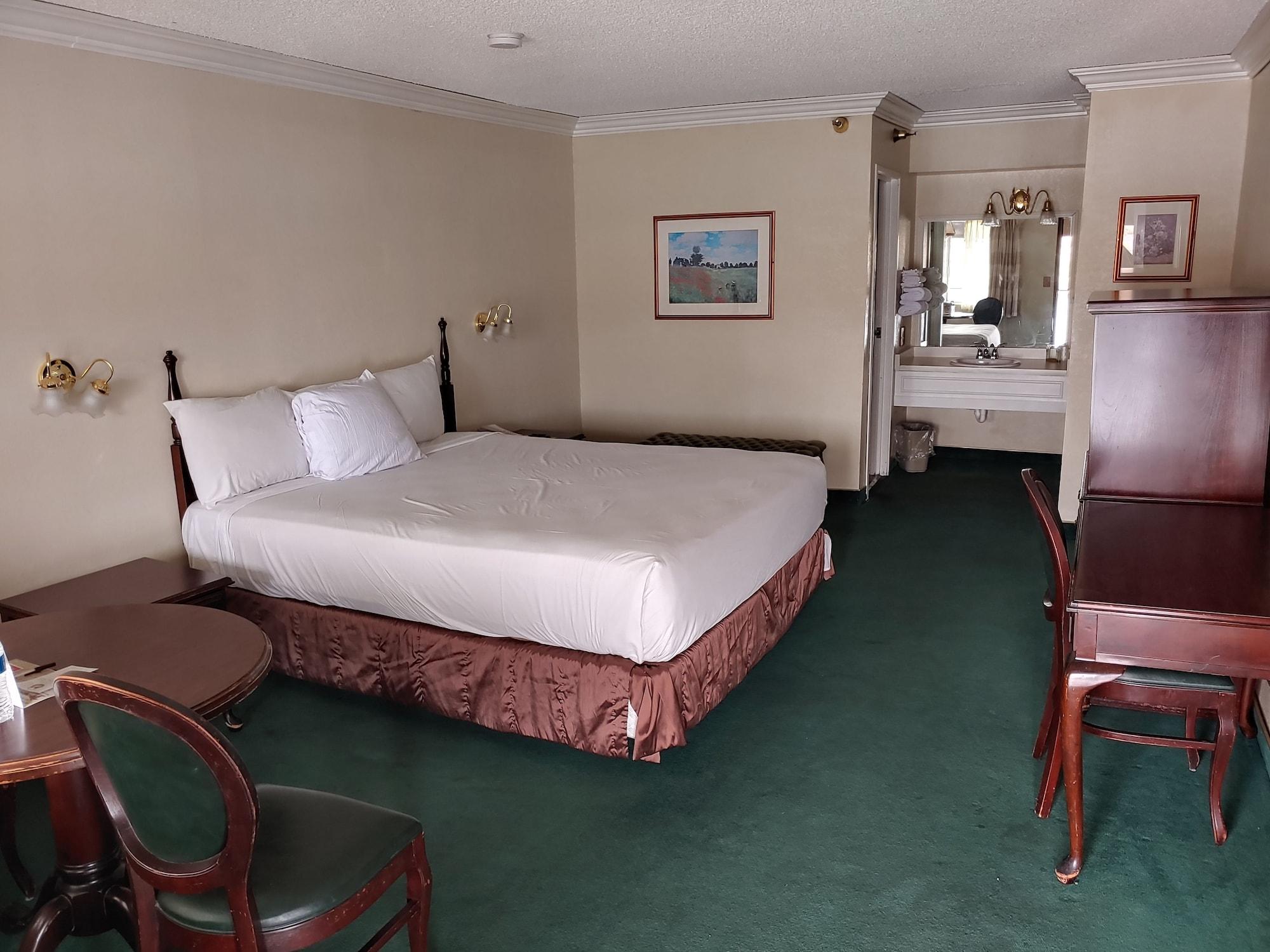 Hotel The New Pioneer