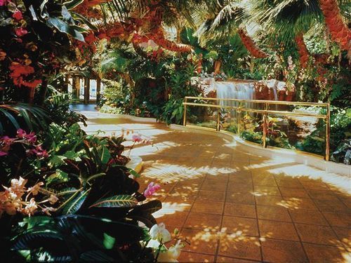 Resort Golden Nugget