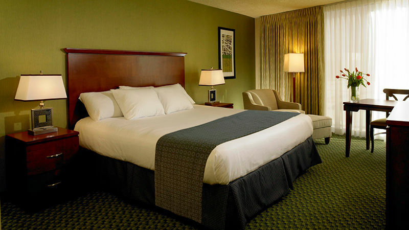 Aquarius Casino 4*