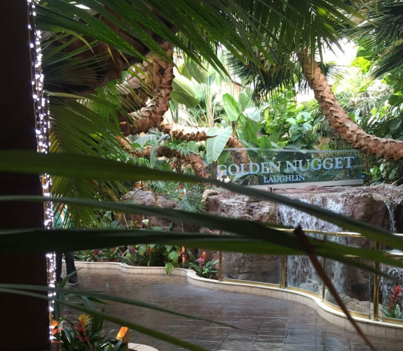 Resort Golden Nugget Laughlin